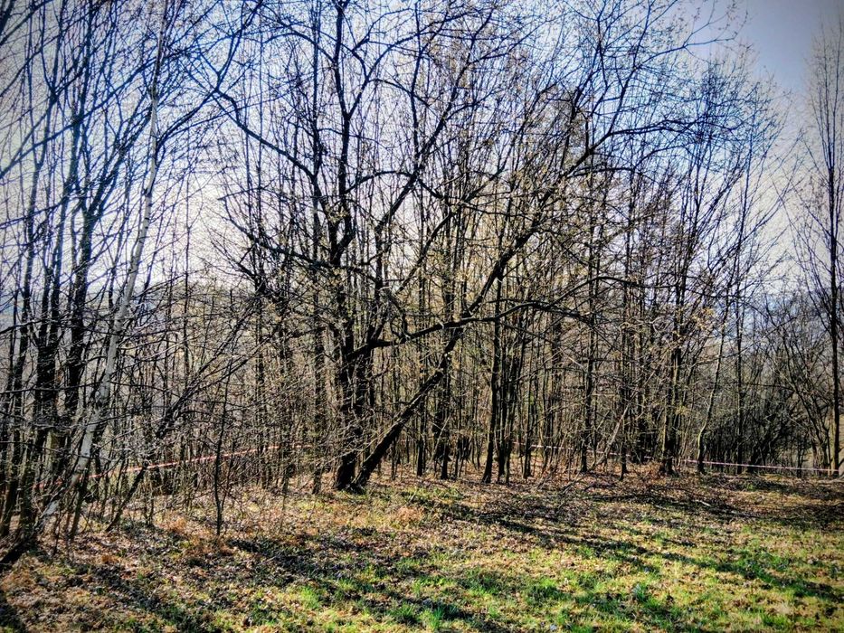 Działki w Bieszczadach, warunki zabudowy, widok na Zaporę Solińską.