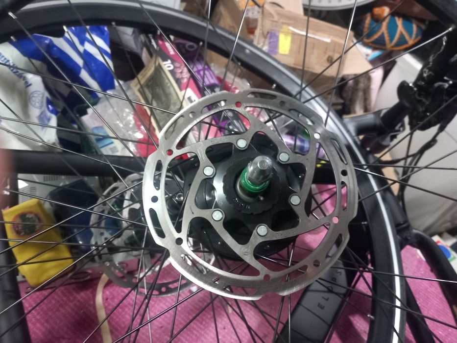 Bicicleta  elops.   ,