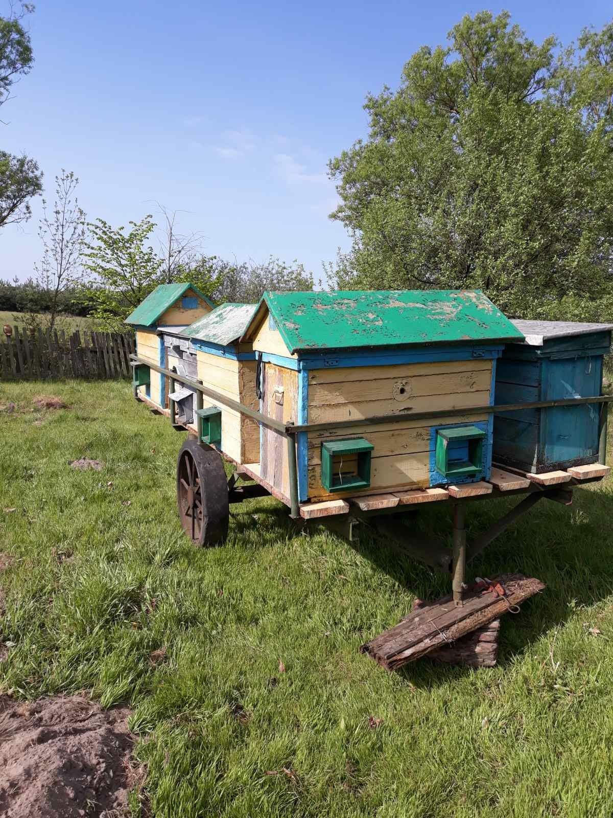 Продам переїздну пасіку.