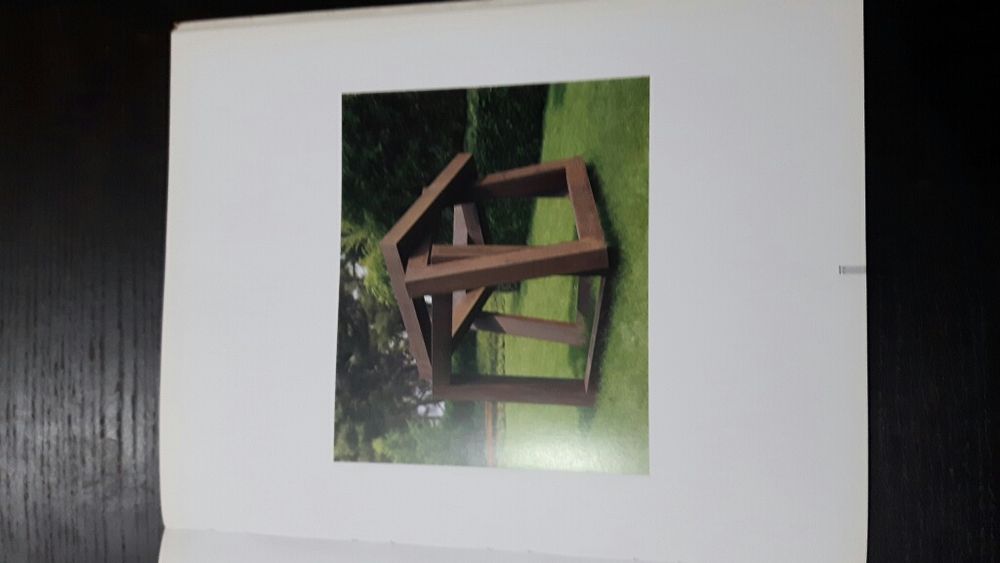 Livro Esculturas contemporâneas