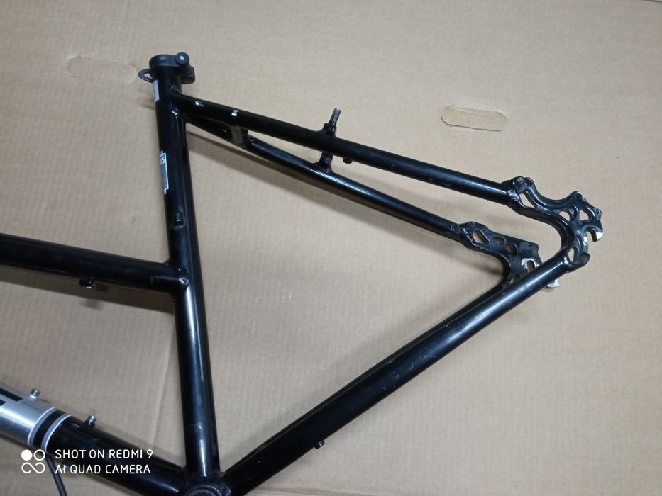 Rama Epple Trail Cat 28