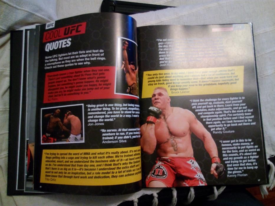 UFC fan guide