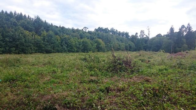 Działka Budowlana w lesie 2,5 km od centrum Lidzbarka Warmińskiego