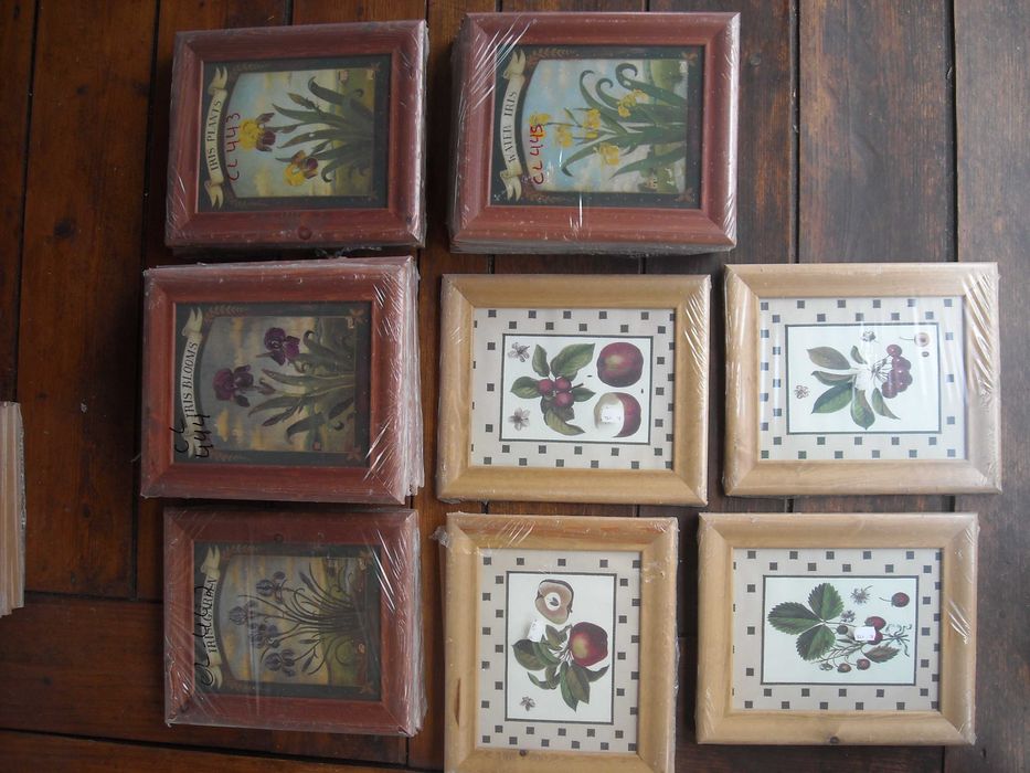 Quadros antigos rusticos vintage gravuras flores e frutos NOVO