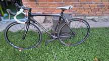 Rower Wilier trestina