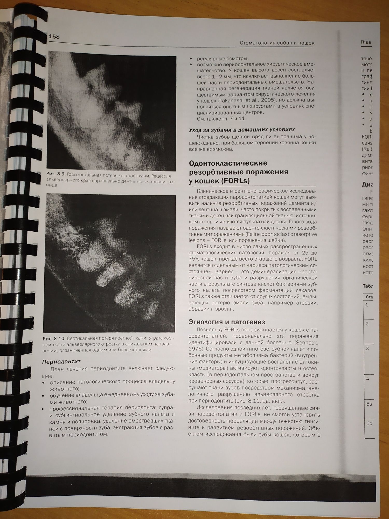 Стоматология собак и кошек. Заболевания зубочелюстного аппарата.