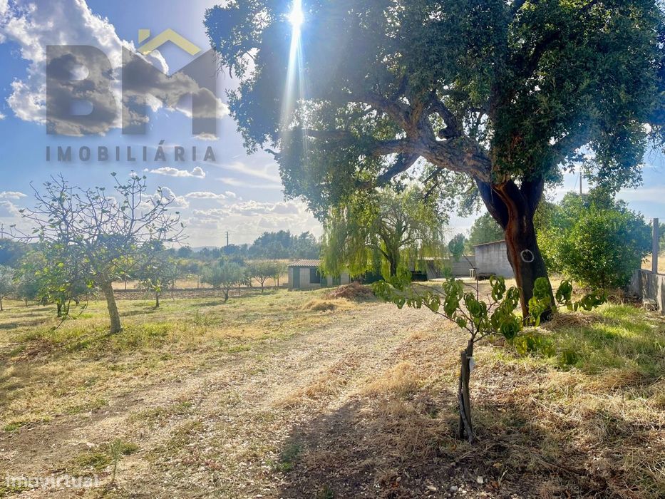 Quintinha  Venda em Cebolais de Cima e Retaxo,Castelo Branco