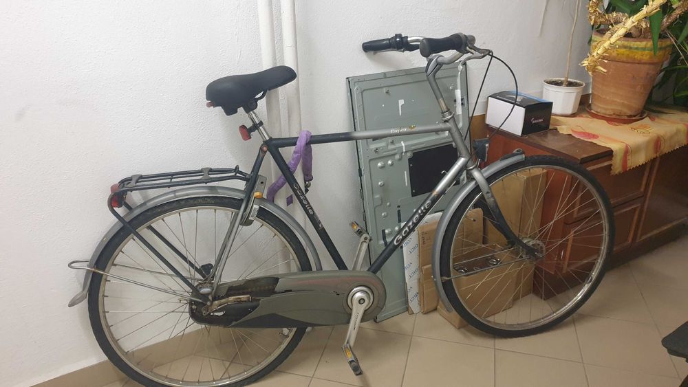 Rower 

GAZELLE
Esprit 
Time & Rhythm