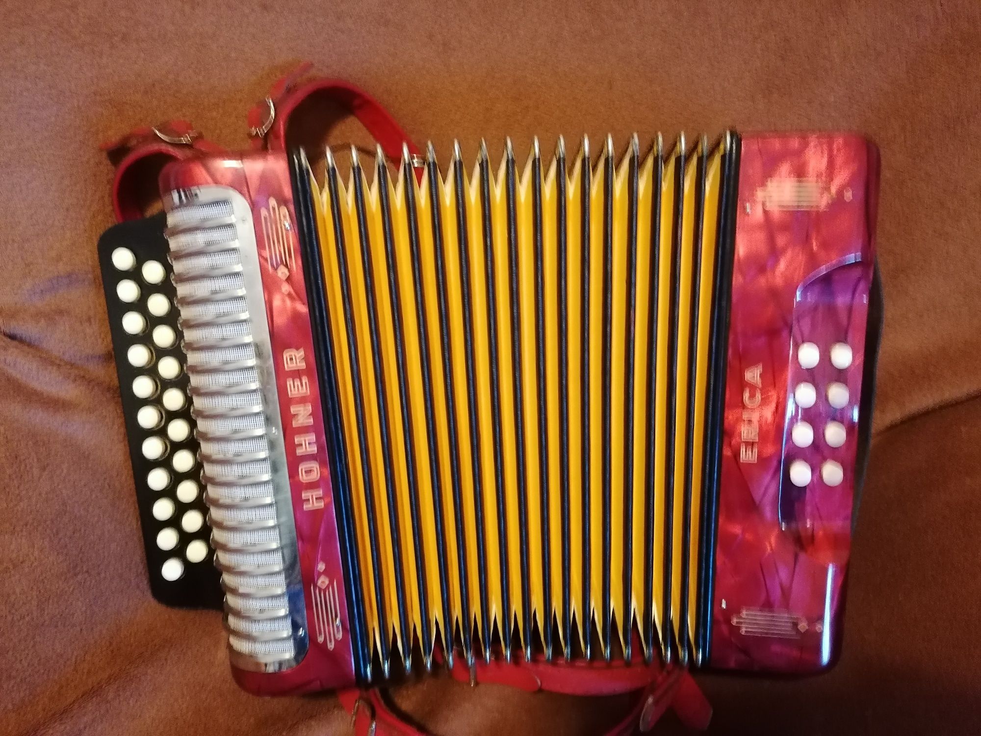 Concertina Hohner Erica