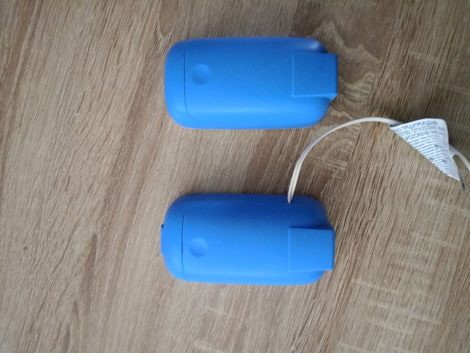 Elektroniczna niania