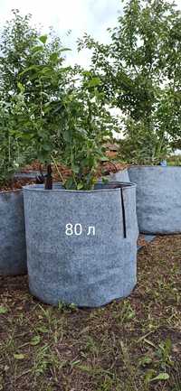 Grow bag, гроубег, контейнер для рослин
