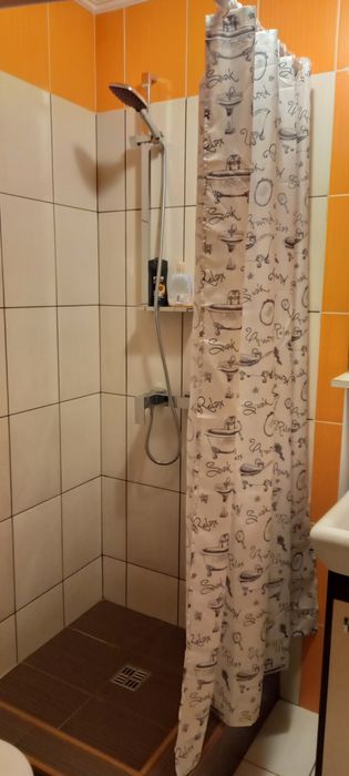 Здам 1-кімнатну квартиру в центрі міста