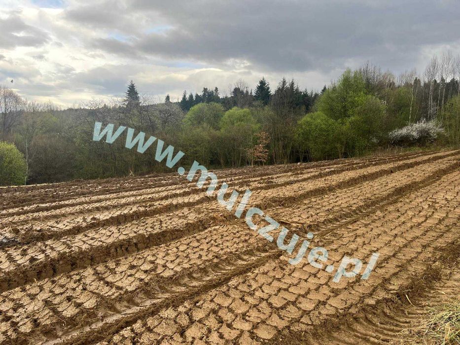 Mulczer leśny wgłębny, powierzchniowy, Karczowanie Czyszczenie działek