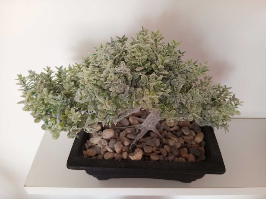 Planta Bonsai artificial 15cm, 370g