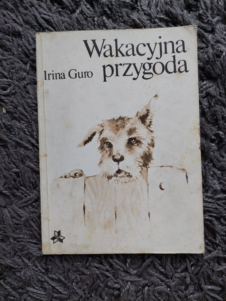 Książka wakacyjna przygoda