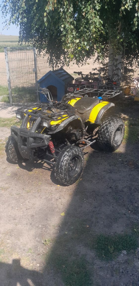 Quad atv 250 bashan 2015