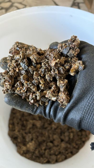 Propolis. Kit pszczeli