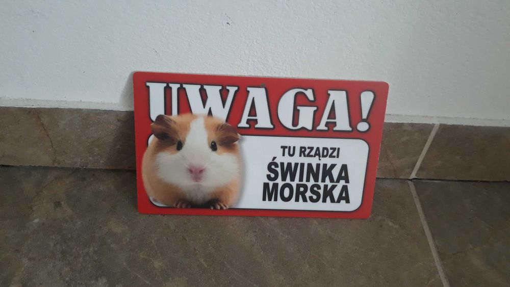 Plakietka szyld świnka morska i kolorowy hamak bawełniany wiązany