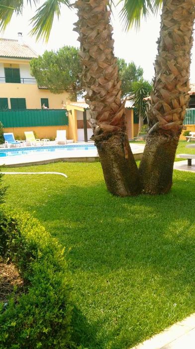 Moradia usada com jardim e piscina