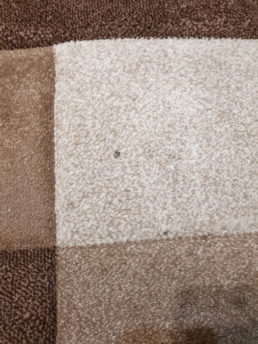 Турецький килим 120×170