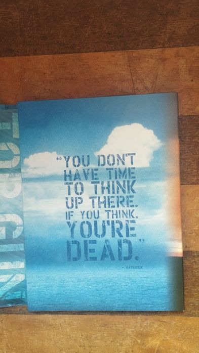 Top Gun Ases Indomáveis