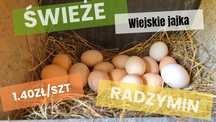 Świeże wiejskie jajka 1.40zl