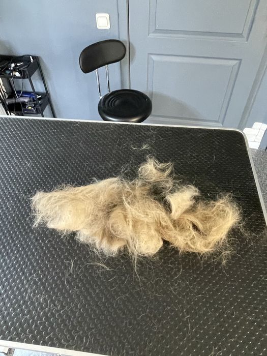 Грумінг салон на лівобережній