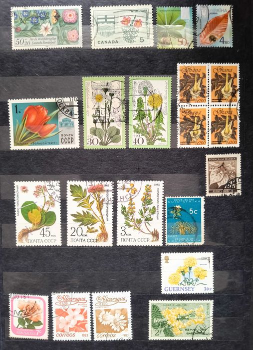 Zestaw znaczków - kwiaty - mix