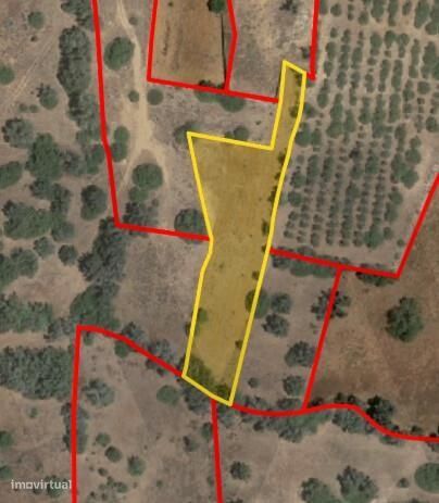 Terreno rustico, Benagaia