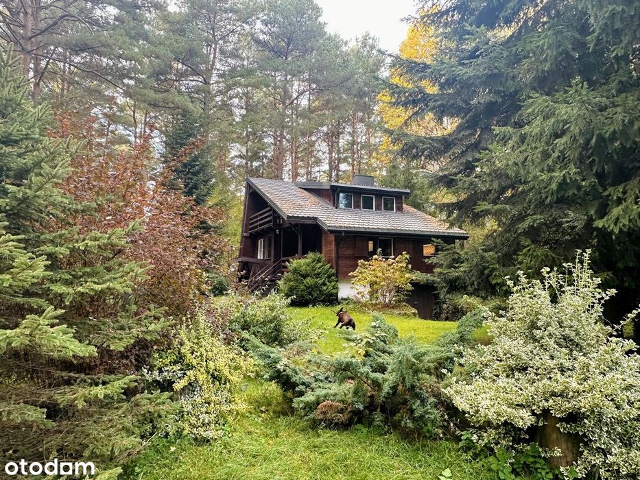 Wyjątkowa, przepiękna działka z domem i własnym lasem