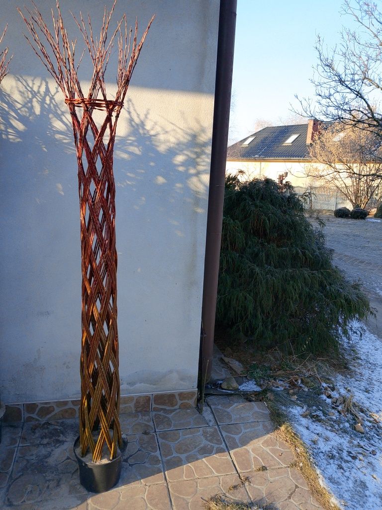 Drzewka wiklinowe