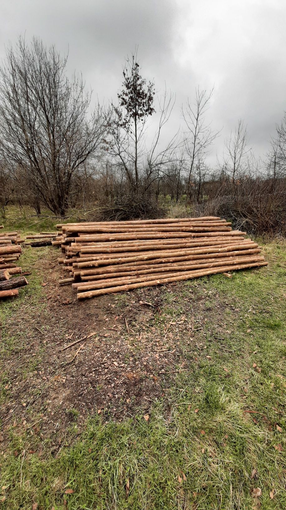 Stemple drewniane budowlane  slupki Z TRANSPORTEM mazowieckie