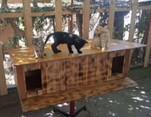 Будка для кота, домик для кошки уличный утепленный