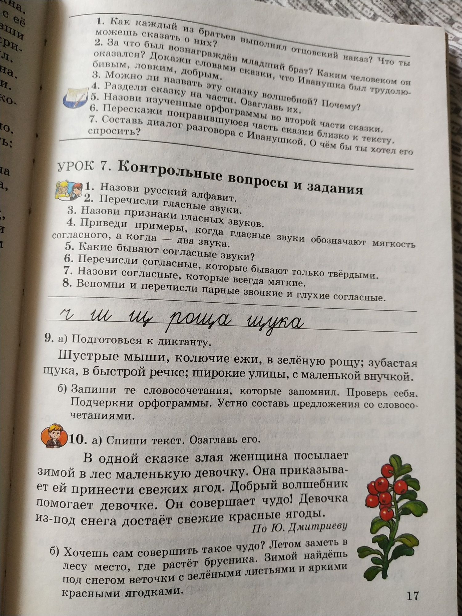 Русский язык, грамматика, задания стихи и рассказы В.А. Анисимова