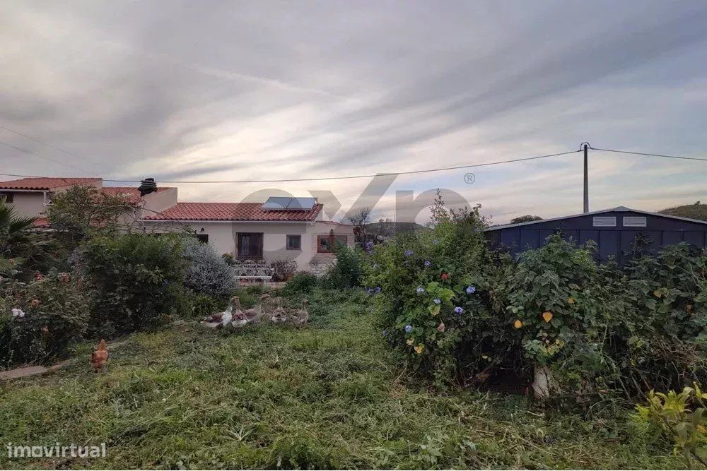 Terreno rústico com moradia