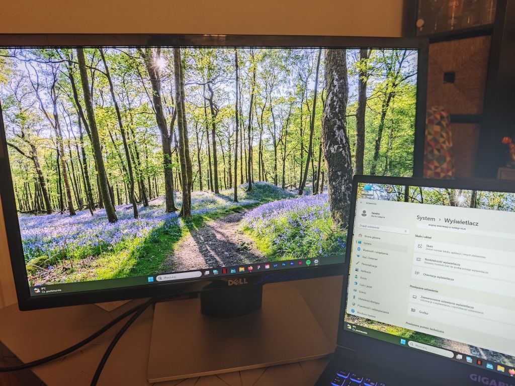 Monitor Dell SE2416H 24 cale