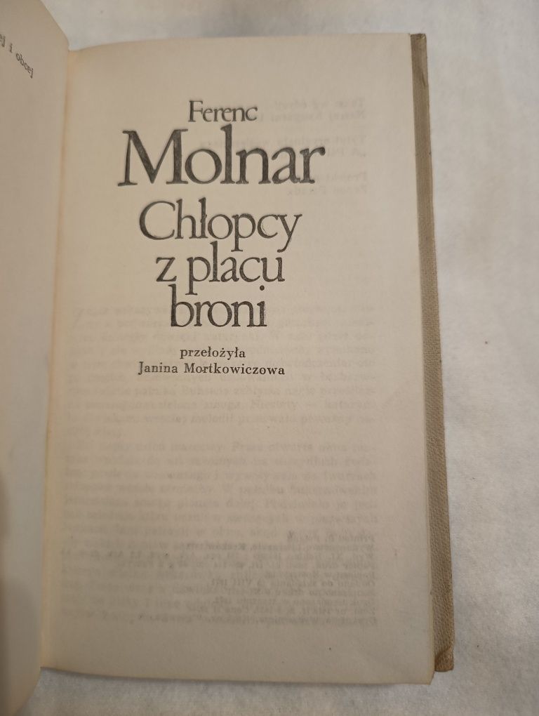 Chłopcy z placu broni