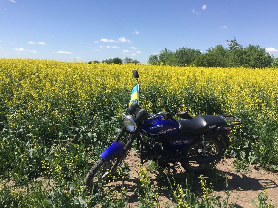 Mustang125 в хорошому стані