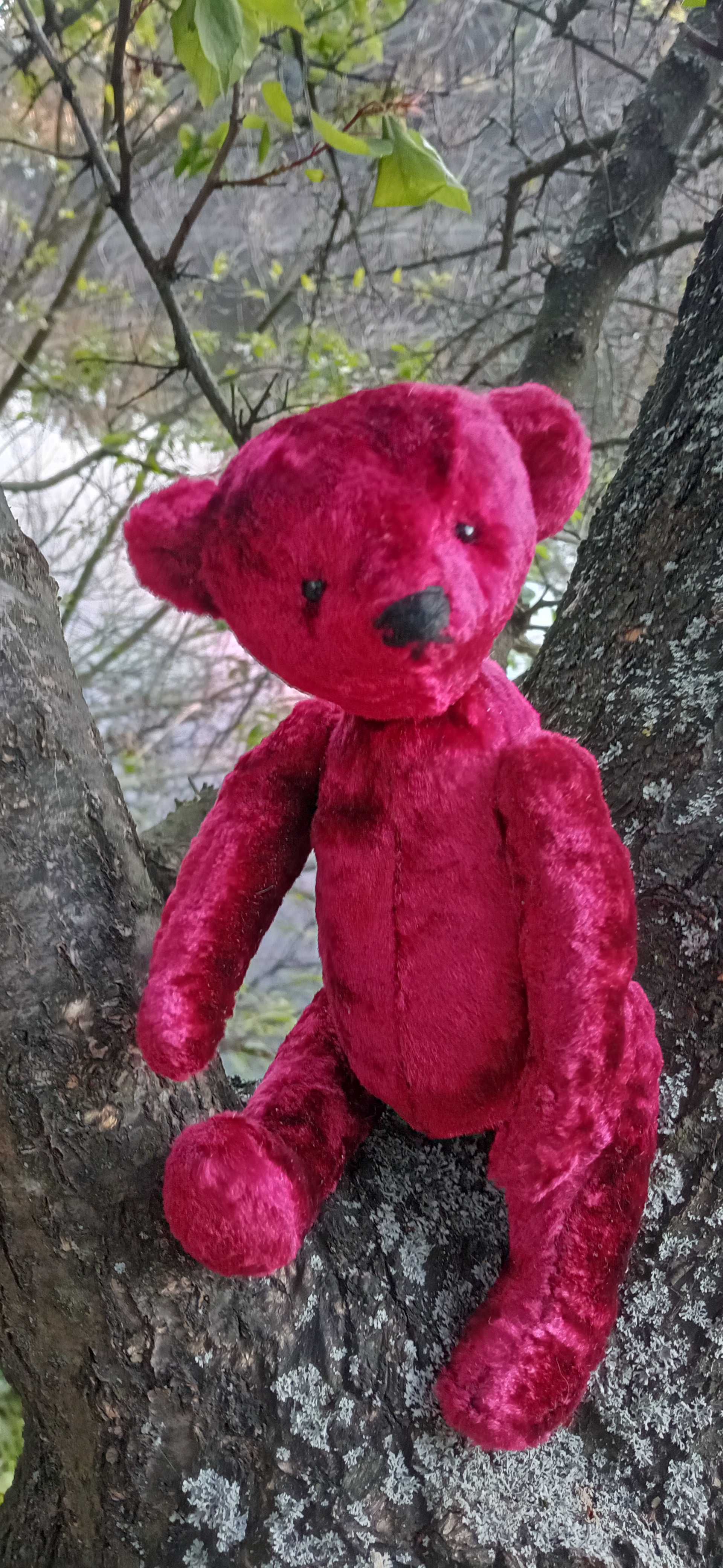 Ведмедик Тедді. Bear Teddy. Авторська, колекційна іграшка