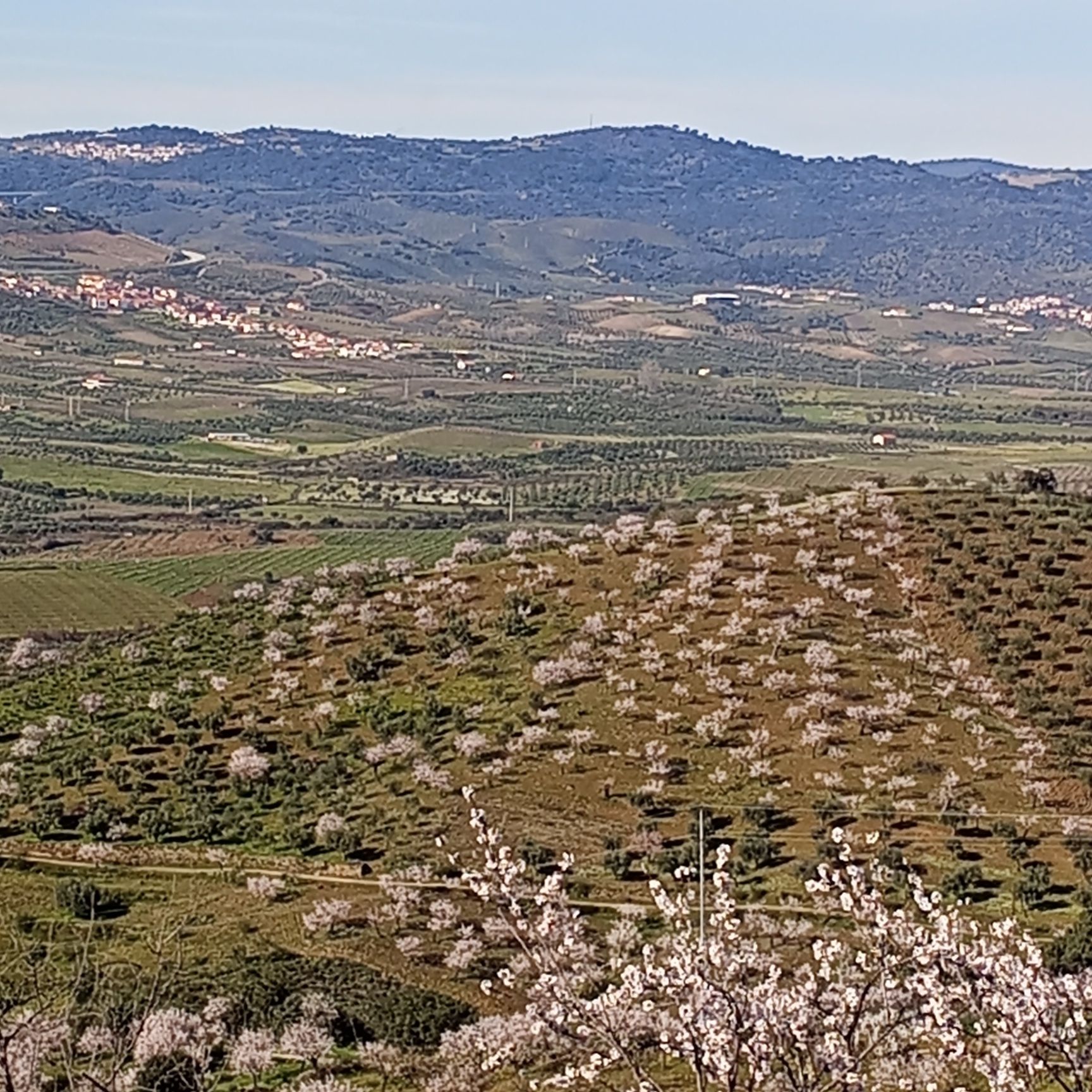 Moradia + garagem/ Douro/ tras-os-montes