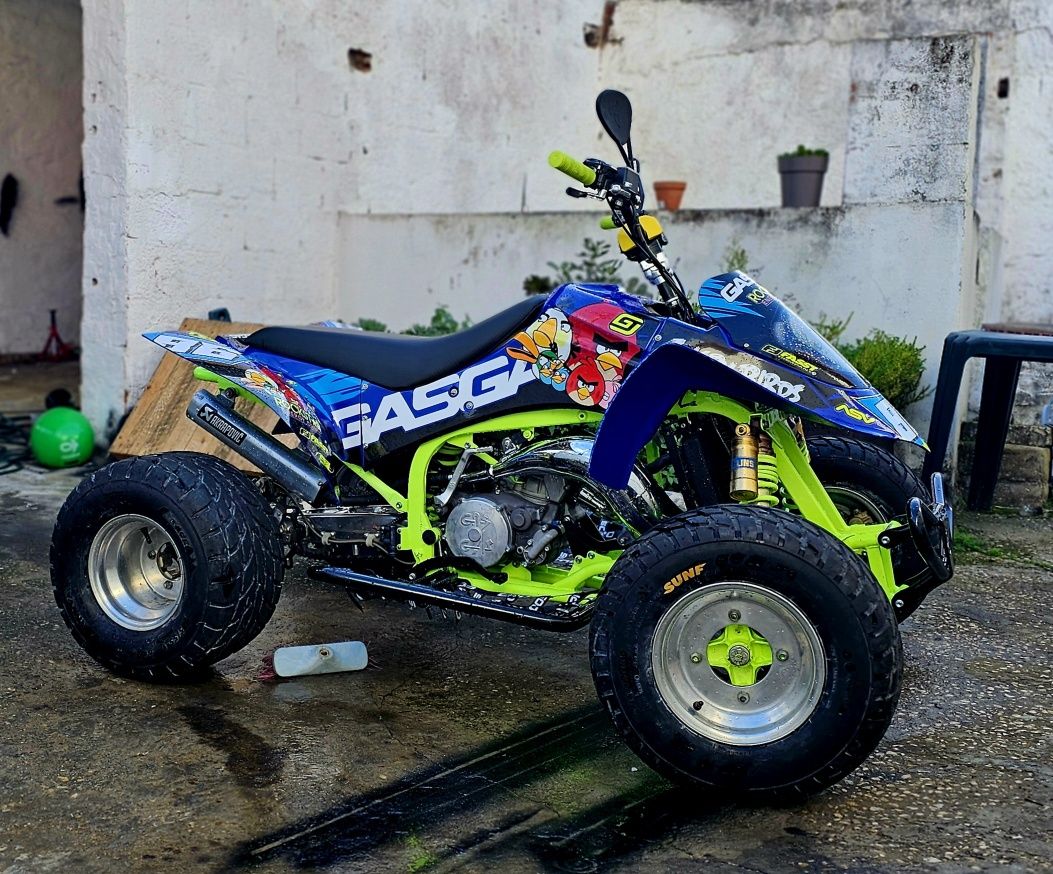 Gas gas wild 300cc