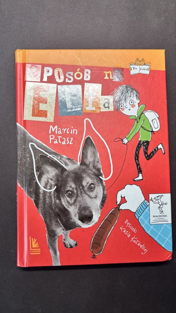 Sposób na Elfa M. Pałasz