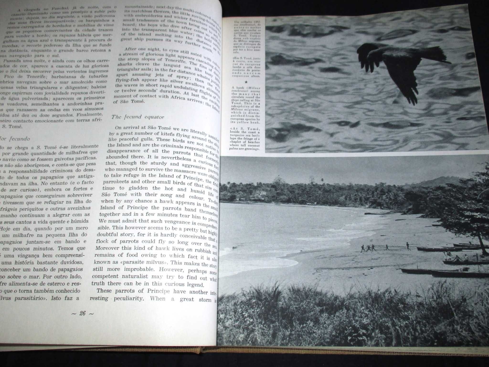 Livro Santuário Bravio Gorongosa e Moçambique Eça de Queiroz 1964