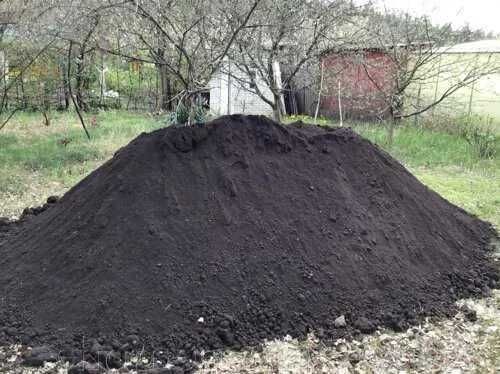 Чернозем плодородный, перегной. Дрова дуб граб ясень сосна.