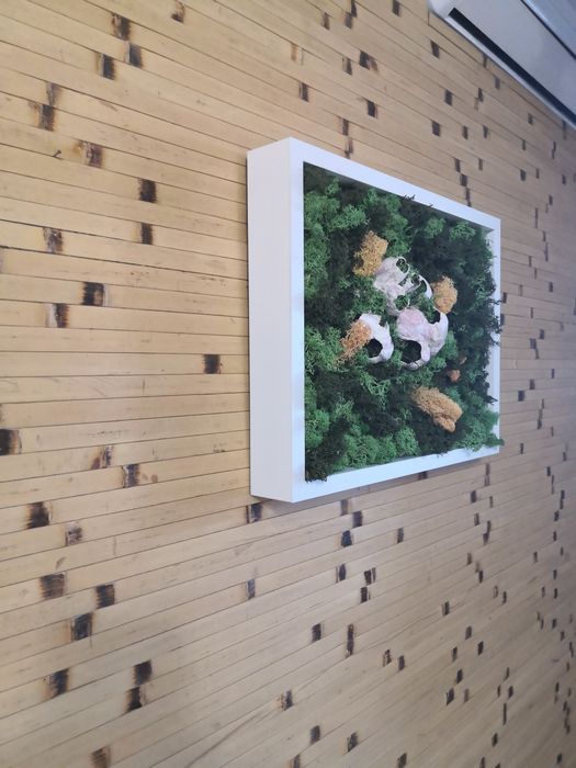 Картина стабилизированный мох