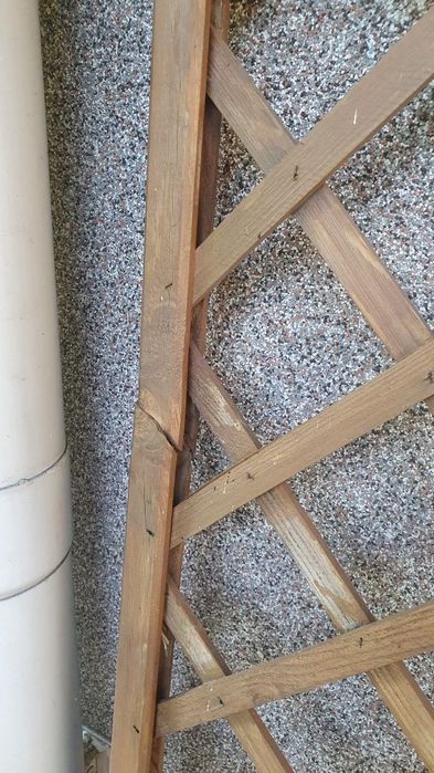 Płotek ogrodowy drewniany 80x190cm