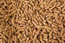 PELLET pellet drzewny 6mm EB  premium first class 975kg paleta Dostawa