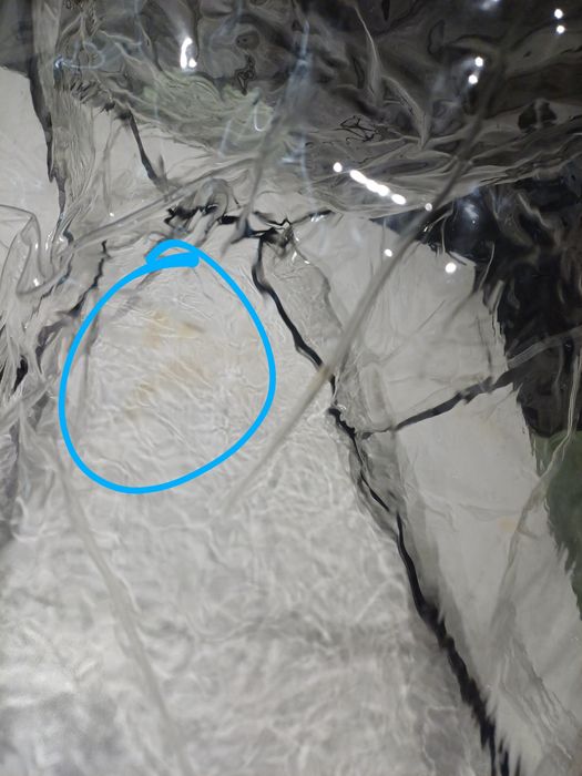 Capa da chuva para carrinho Quinny