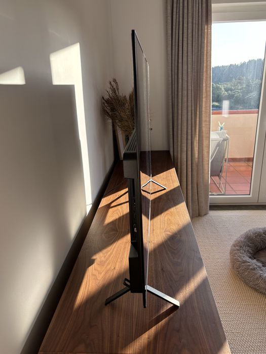 TV LG 55” OLED - garantia até abril de 2026