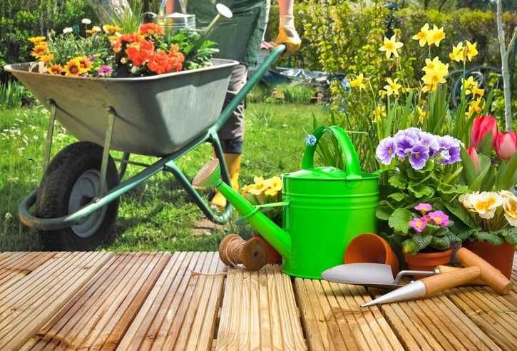 Usługi ogrodnicze ,pielęgnacja ogrodu, minikoparka